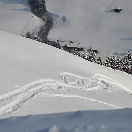 Apartment Almapartment Skiwiege Kirchberg in Tirol