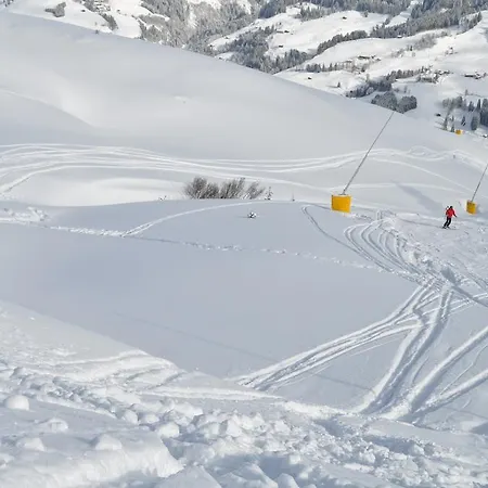 Apartment Almapartment Skiwiege *