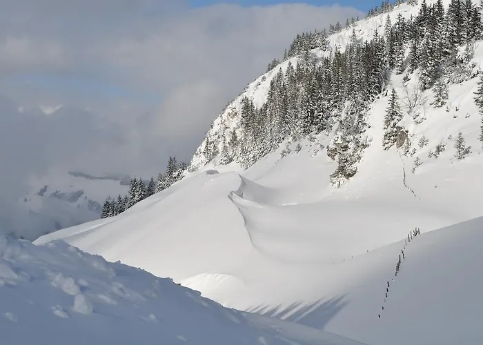 شقة Almapartment Skiwiege - Ski-in - Ski-out Only كيرشبرغ ان تيرول