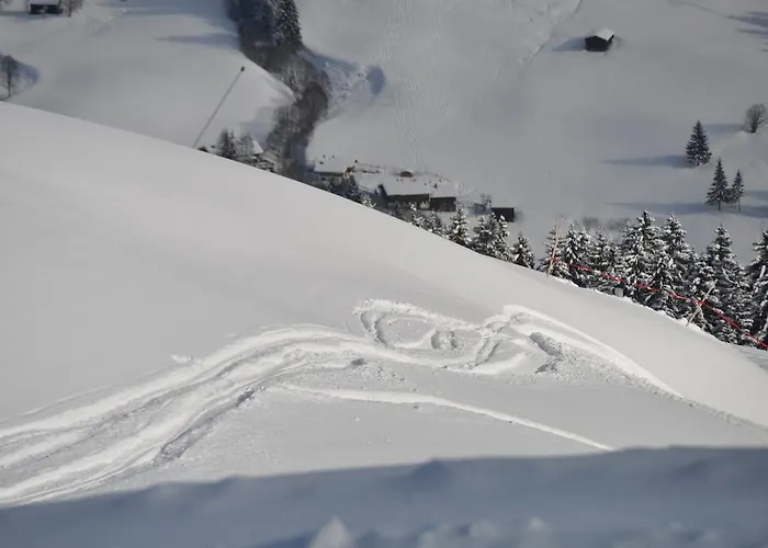 شقة Almapartment Skiwiege - Ski-in - Ski-out Only كيرشبرغ ان تيرول