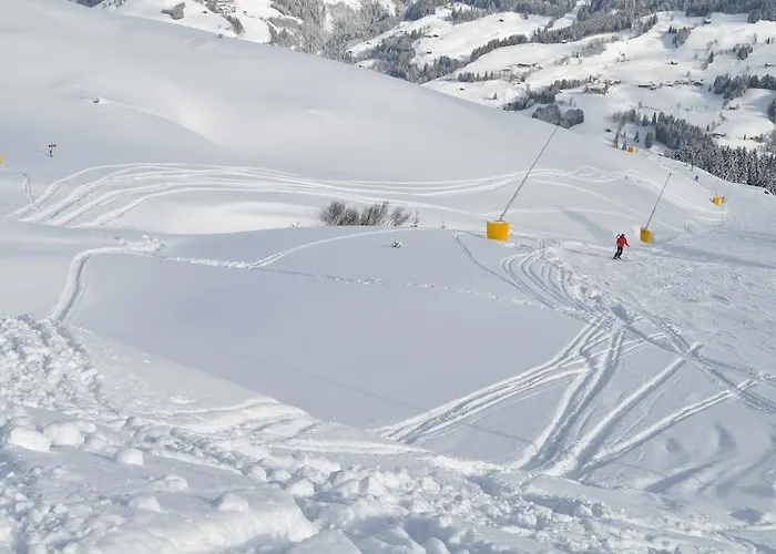 شقة Almapartment Skiwiege - Ski-in - Ski-out Only *